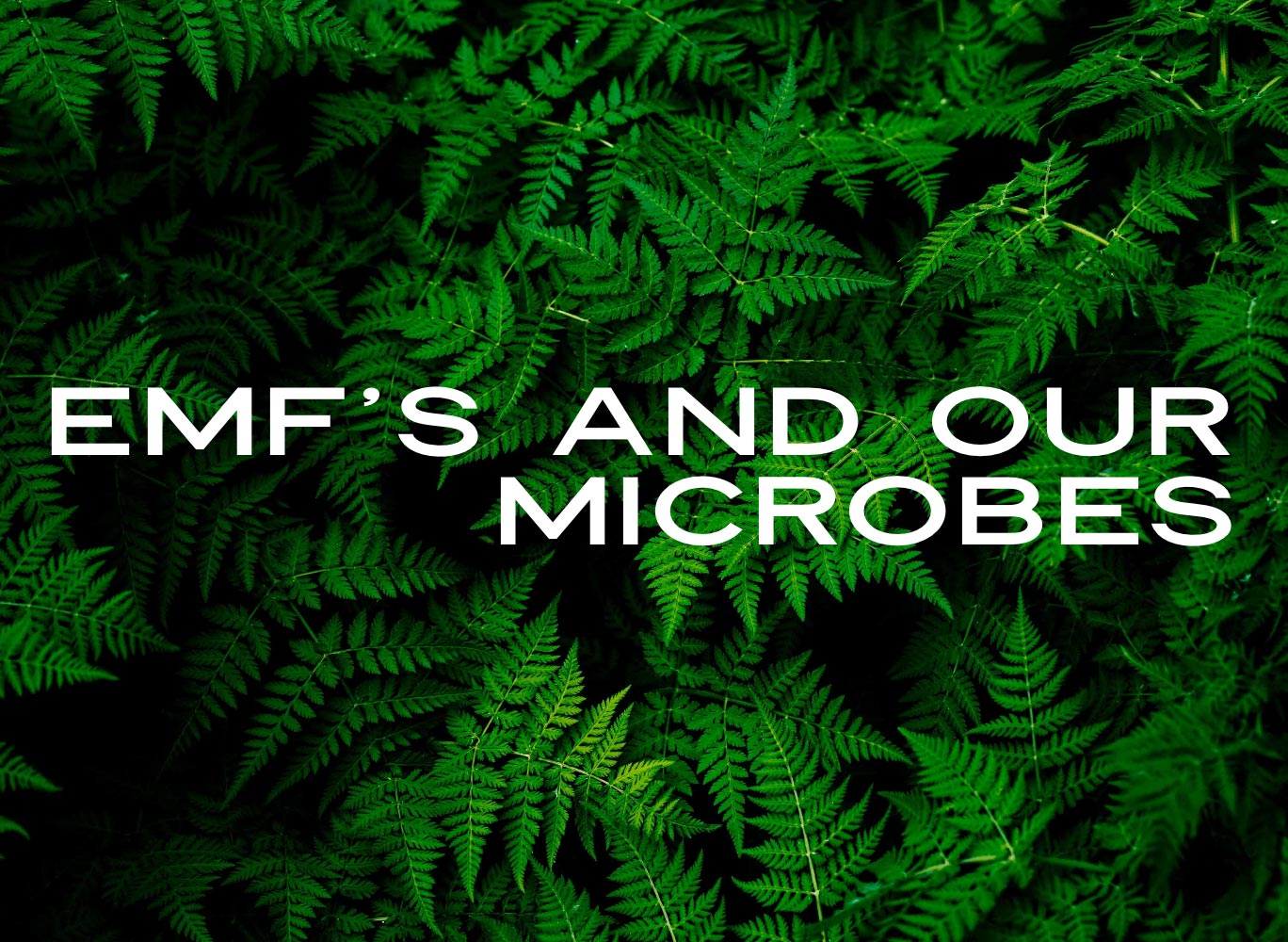 EMF’s and Our GUT Microbiome